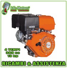 MOTORE A SCOPPIO 13 CV 389CC